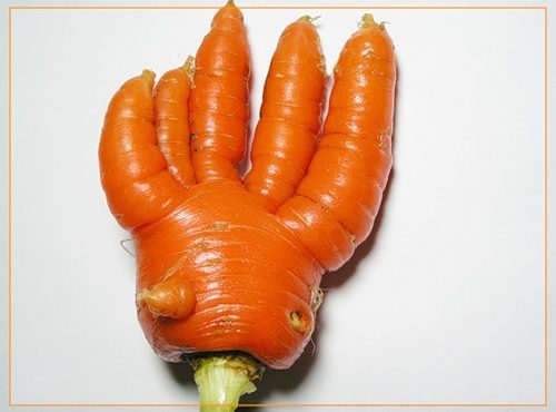 Десерт из творога и моркови