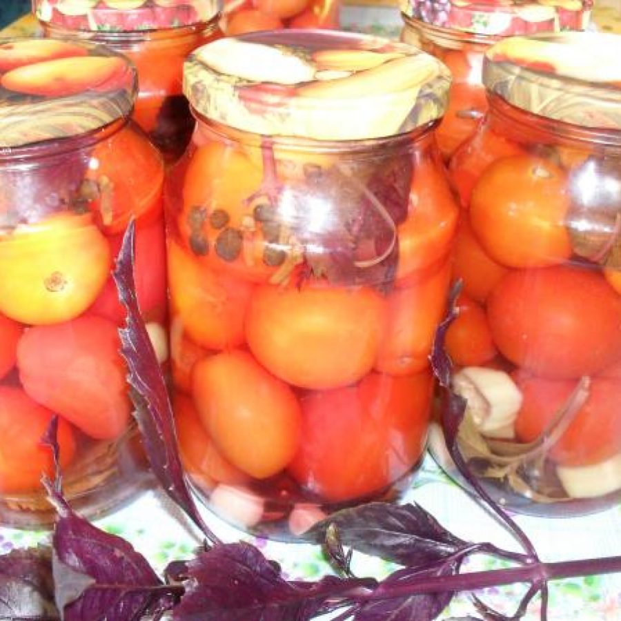 рецепт томаты с базиликом например, Дальний Восток