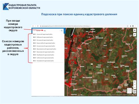 Возможные проблемы при поиске кадастрового номера строения