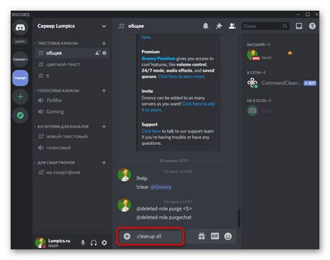 Использование Discord бота для очистки чата