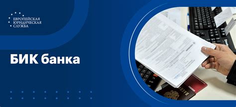 Как найти БИК банка по ИНН в Банковском реестре