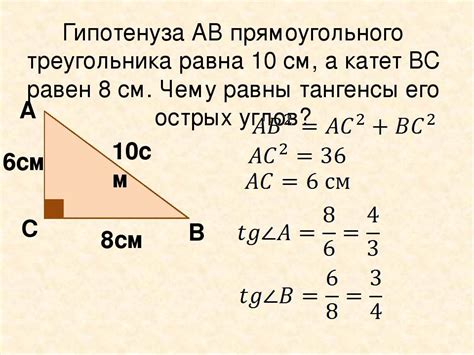 Как найти длину катета через площадь статьи