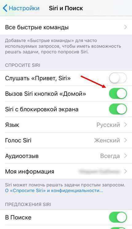 Метод 3: Отключение через Siri