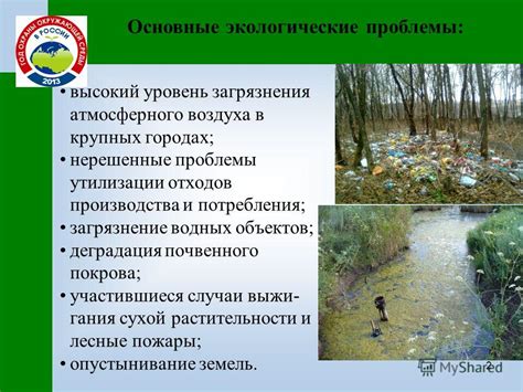 Негативное воздействие загрязненной воды на здоровье и окружающую среду