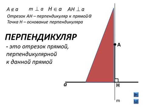 Определение и назначение медианы