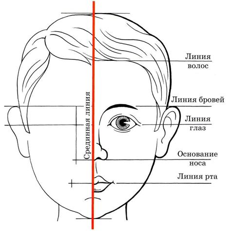 Определение размеров глаз и носа