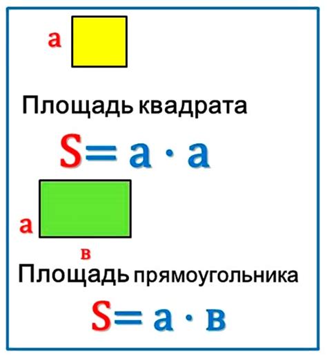 Основные свойства площади и периметра прямоугольника