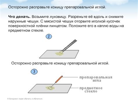 Осторожно снимите остатки кожицы