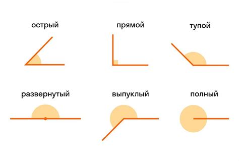 Острый угол и его свойства