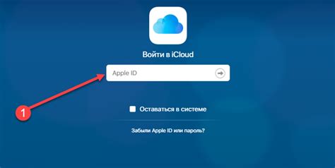 Очистка облака iCloud на устройствах с macOS