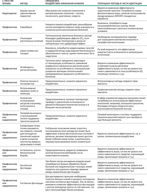 Популярные профилактические методы