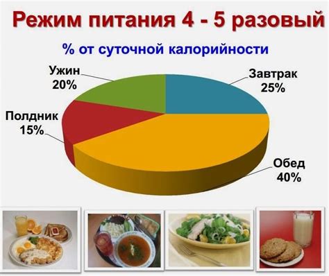 Правильный режим питания и лучшая усвояемость пищи