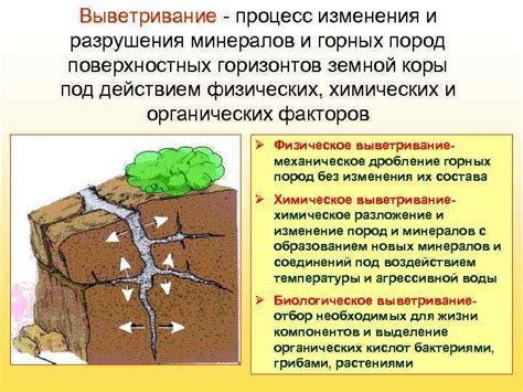 Процесс изменения биома