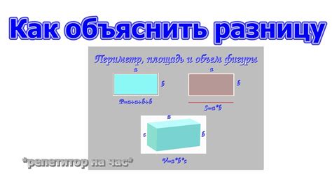 Различия между площадью и периметром прямоугольника