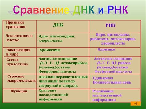 Сравните функции и характеристики