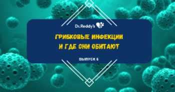 Что такое грибковые инфекции и каким образом они влияют на организм?