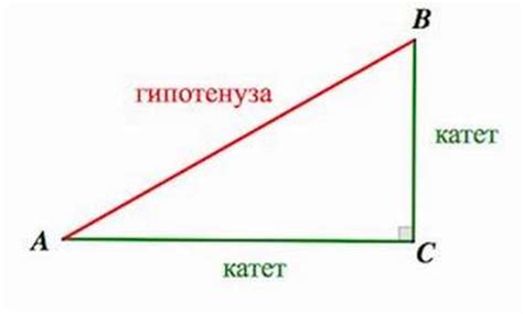 Что такое катет в треугольнике?