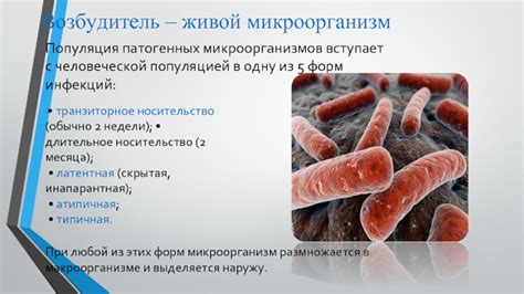 Шаг 3: Обезвредивание патогенных микроорганизмов